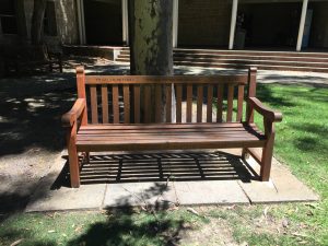 The memorial bench dedicated to Trish and her good friend Joan Eveline, in the Patricia Crawford Courtyard at The University of Western Australia. Image provided.